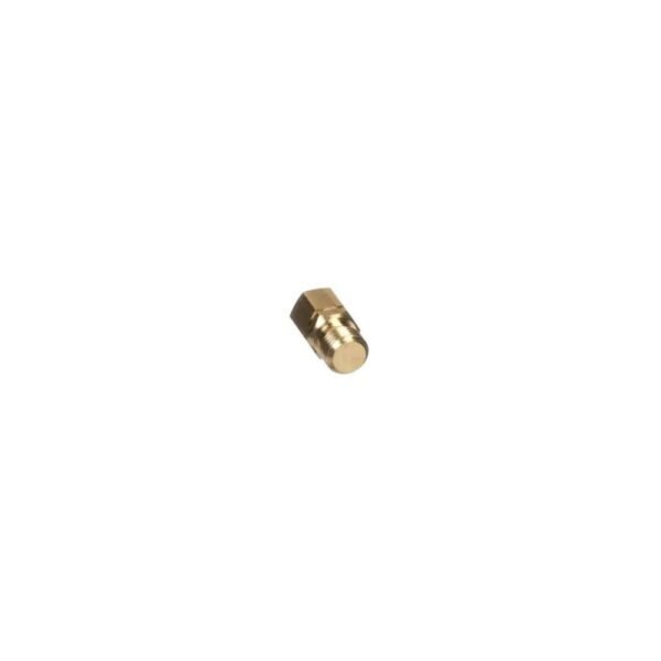 Rinnai OEM 107000021 Drain Valve Compatible with Rinnai Tankless & Heaters