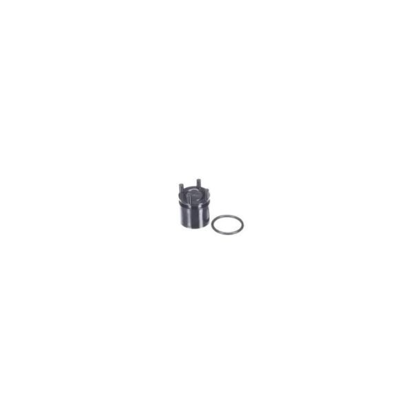 Rinnai OEM 107000134 Check valve Compatible with Rinnai Tankless & Heaters