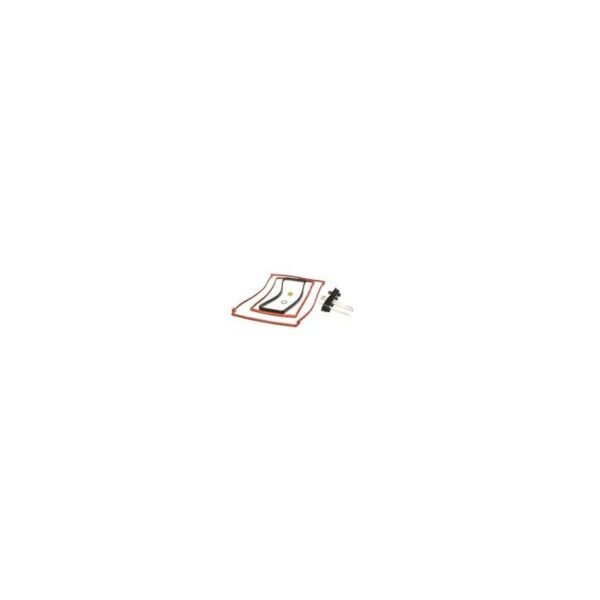 Rinnai OEM 804000069 E110C/Q130S 4k hour Service Kit Compatible with Rinnai Tankless & Heaters