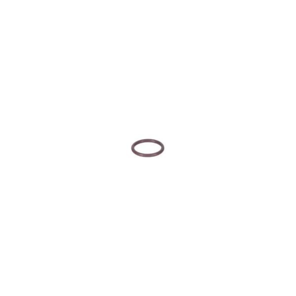 Rinnai OEM 807000204 O-ring Compatible with Rinnai Tankless & Heaters