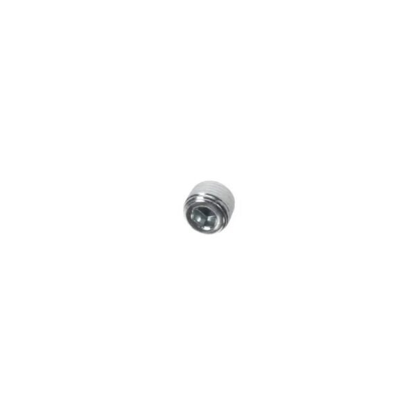 Rinnai OEM AU39-965X01 Test Port Screw Compatible with Rinnai Tankless & Heaters